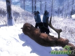 thehunter-whiterimemoose