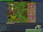 Tibia-Coins