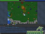 Tibia-Screenshot