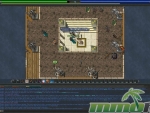 Tibia-Town