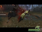 tiger-knight-empire-war-combat-execution