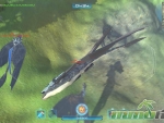 timer-of-dragons-dying