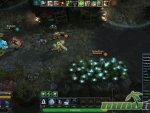 TOME-Immortal-Arena-Brush