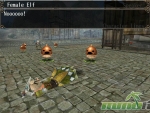 Toram-Online-Female-Elf