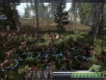 total-war-arena-woods