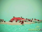 traverse-island