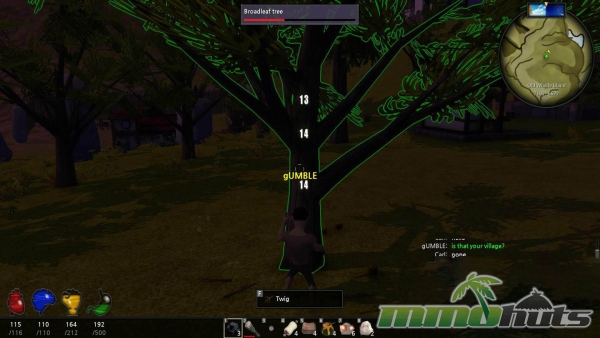 Tree-of-Life-broadleef-tree