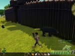 Tree-of-Life-bear