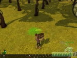 Tree-of-Life-campfire