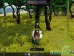 Tree-of-Life-harvesting