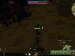 Tree-of-Life-swampwood-seeding
