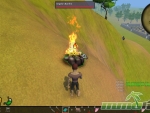 Tree-of-Life-user-bonfire