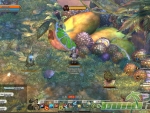 tree-of-savior-pvp