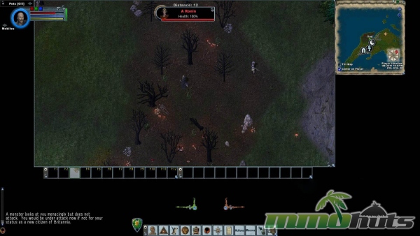 Ultima-Online-a-ronin
