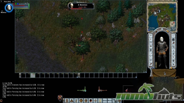 Ultima-Online-a-skeleton