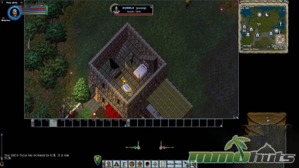Ultima-Online-bedroom