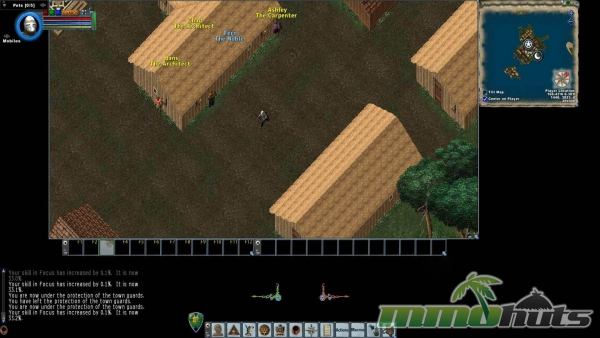 Ultima-Online-carpenter