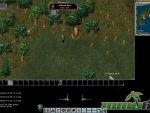 Ultima-Online-brown-bear