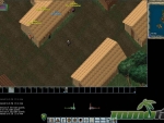 Ultima-Online-carpenter