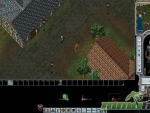 Ultima-Online-combat-stance