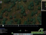 Ultima-Online-dense-forest
