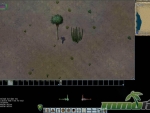 Ultima-Online-desert