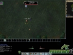 Ultima-Online-great-hart