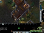 Ultima-Online-house