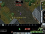 Ultima-Online-low-life