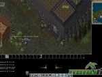 Ultima-Online-octavius