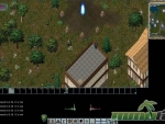 Ultima-Online-players