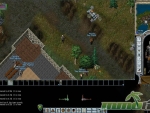 Ultima-Online-rusty-thief