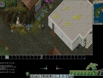 Ultima-Online-the-bank