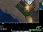 Ultima-Online-verdant