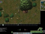 Ultima-Online-yew-tree