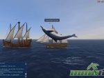 uncharted-waters-online-dolphin