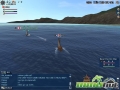 uncharted-waters-online-combat.jpg