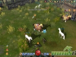 undefeated-legend-tameable-horses