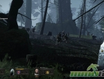 vermintide-groups