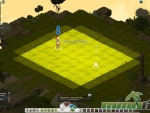 Wakfu-placement-phase