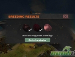 war-dragons-crossbreeding