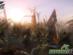 war-of-rights-corn