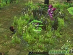 War-of-the-Immortals-Grass