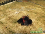 war-thunder-explosion
