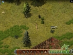 wild-terra-bow-and-arrow