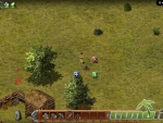 wild-terra-campfire