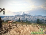 wild-west-online-horses