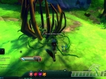 Wildstar-Casting