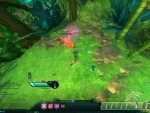 Wildstar-Top-CD