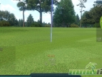 winning-putt-strokes